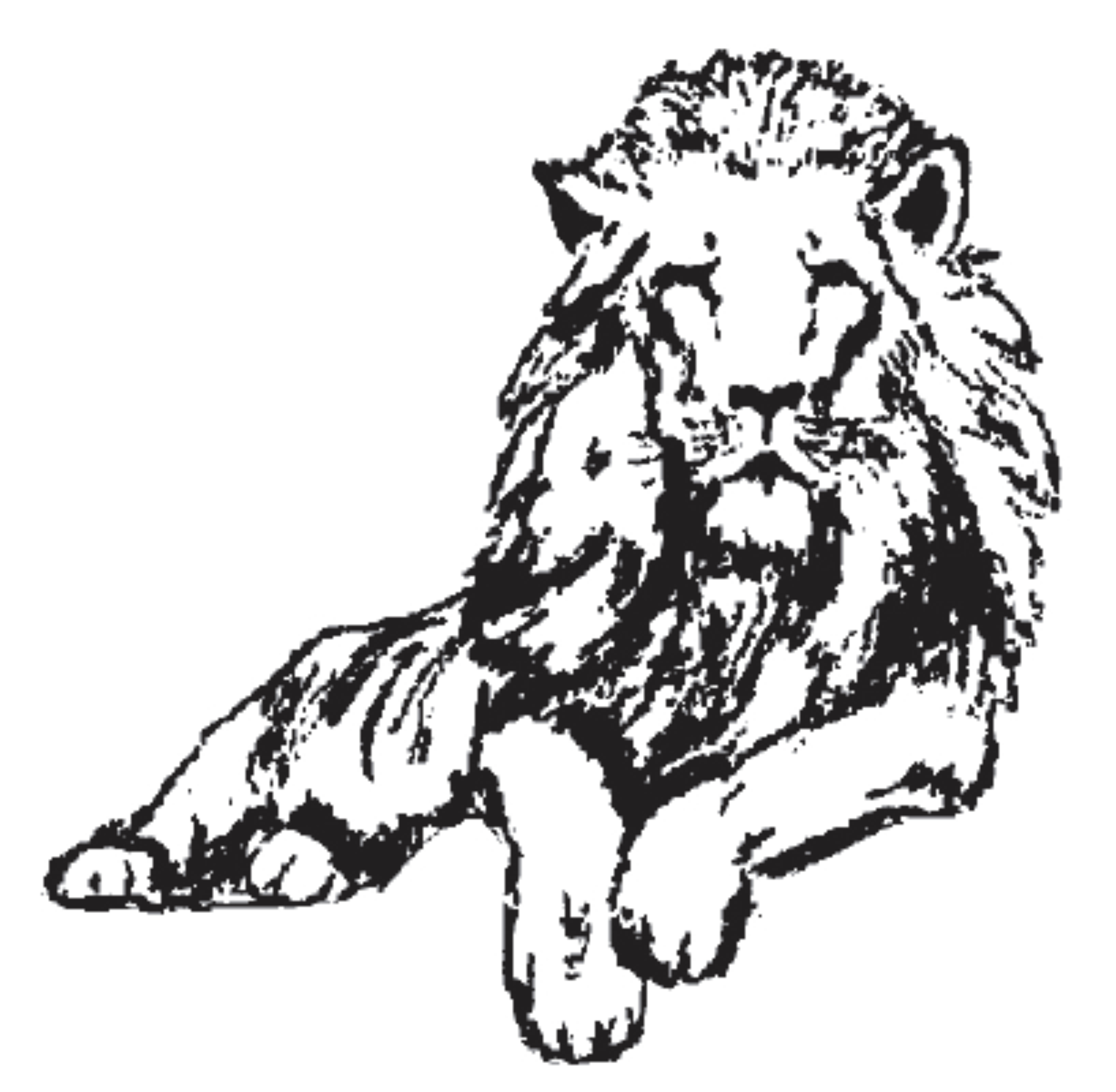 PeopleLion